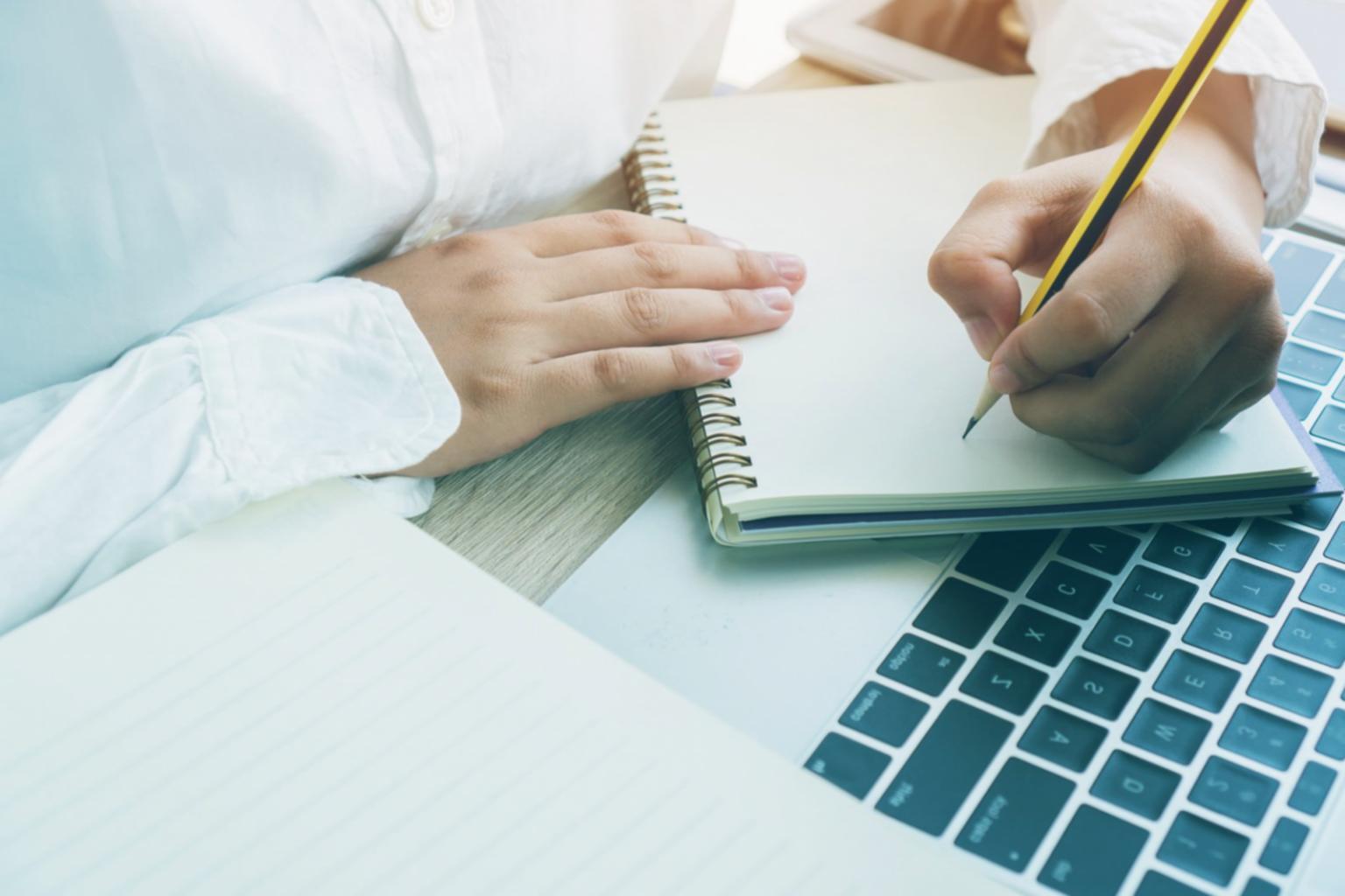 Professional link building session in progress